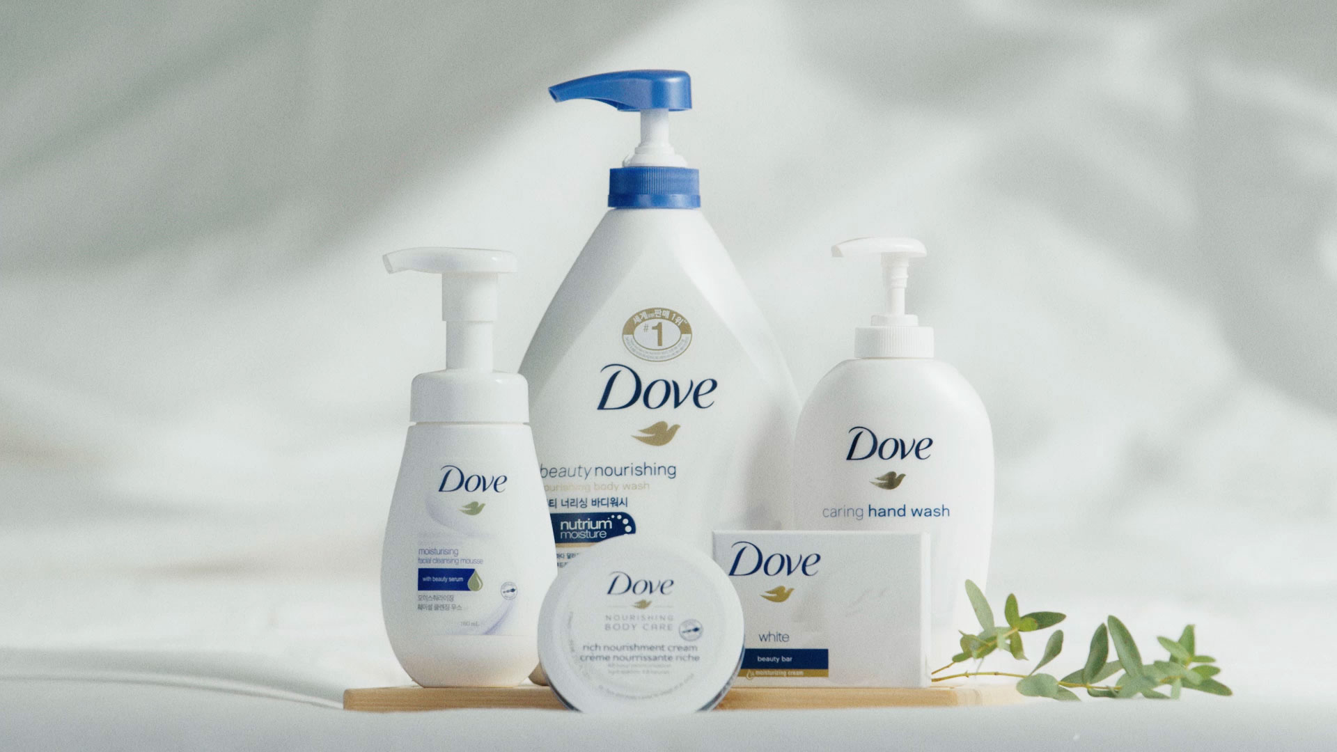 dove intro